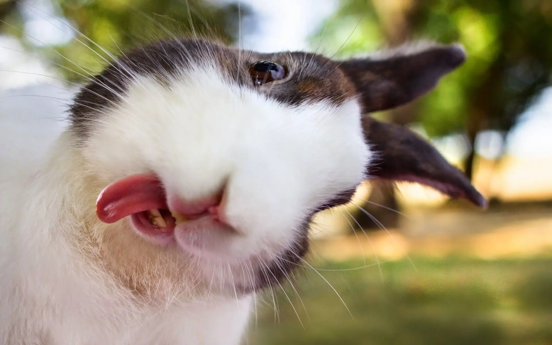 Background Image Image